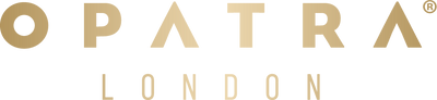 Logo 2